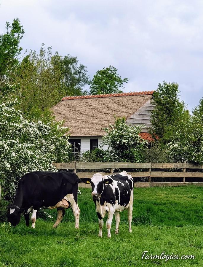 Mariahoeve-Logies #Boerenhuis Woubrugge ภายนอก รูปภาพ